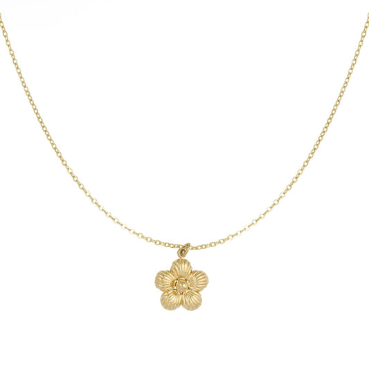 Maartje ketting