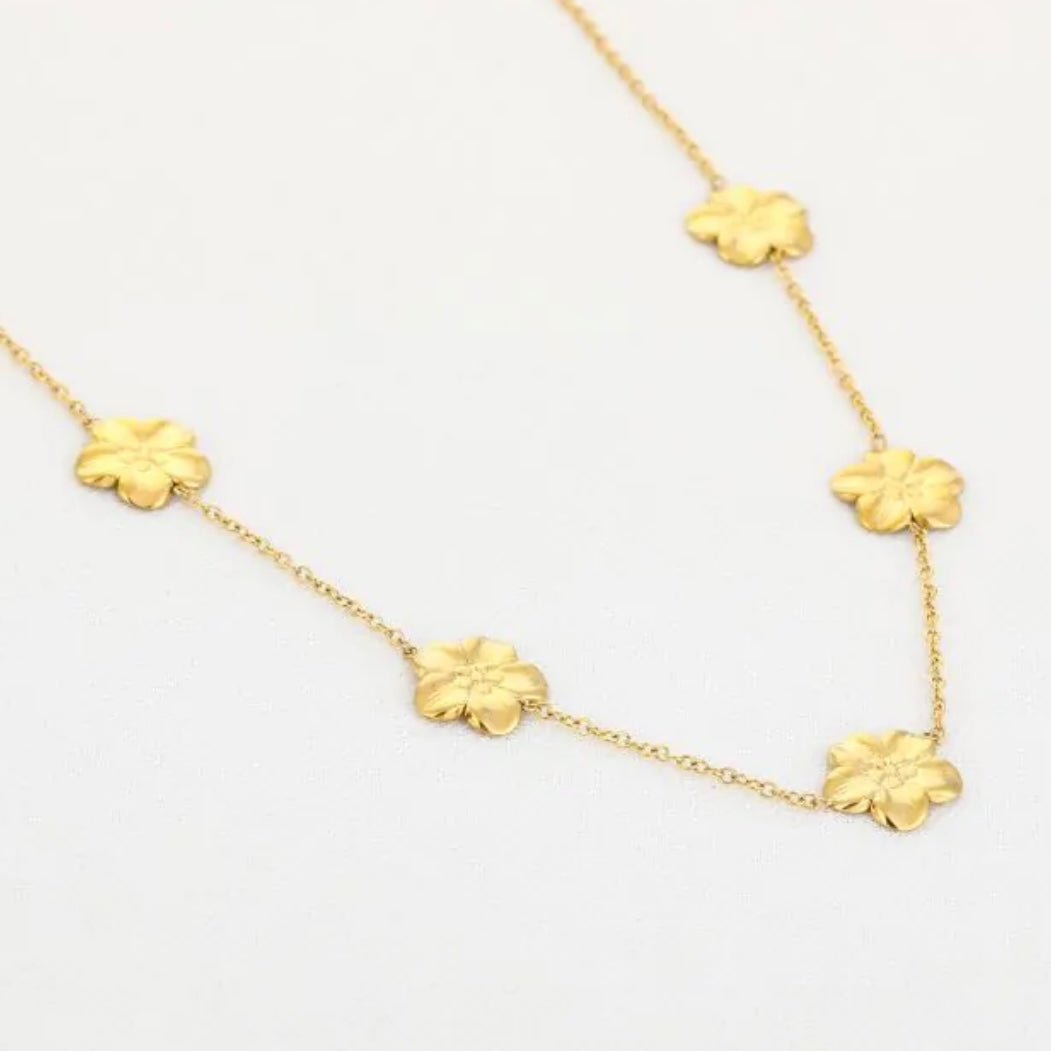 Flora chain