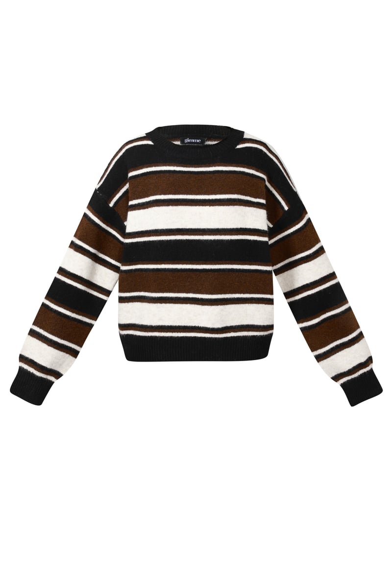 Polyester fiber (polyester) Knit sweaters Stripes Casual Fall/Winter  Clothes